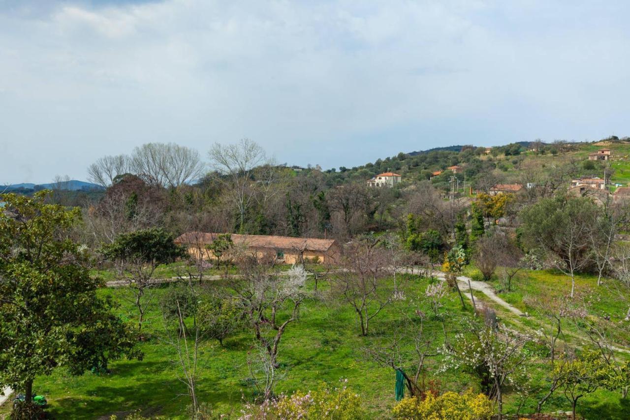 Spacious Apartment In Ceraso With Mountain View 외부 사진